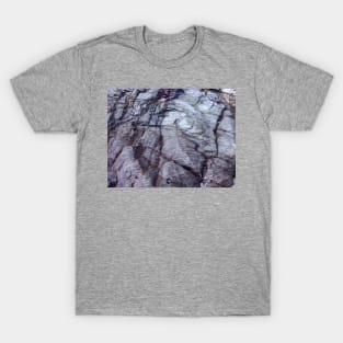 Geology Rocks - Blue Outcrop. Panther Beach, Highway 1, California T-Shirt